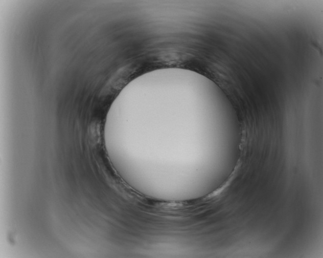 X0000099950182200805231011