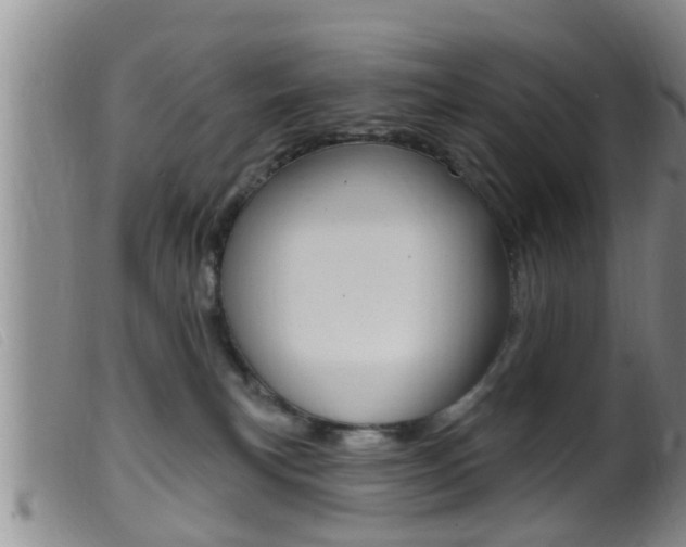 X0000099950183200805231011