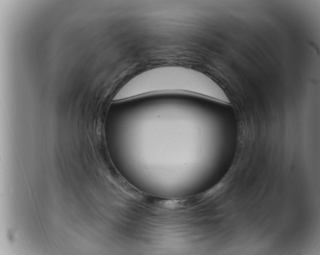 X0000099950184200805231011