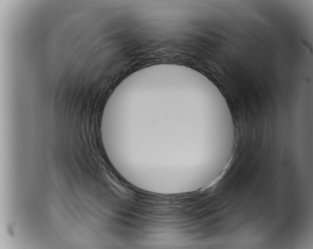 X0000099950186200805231011