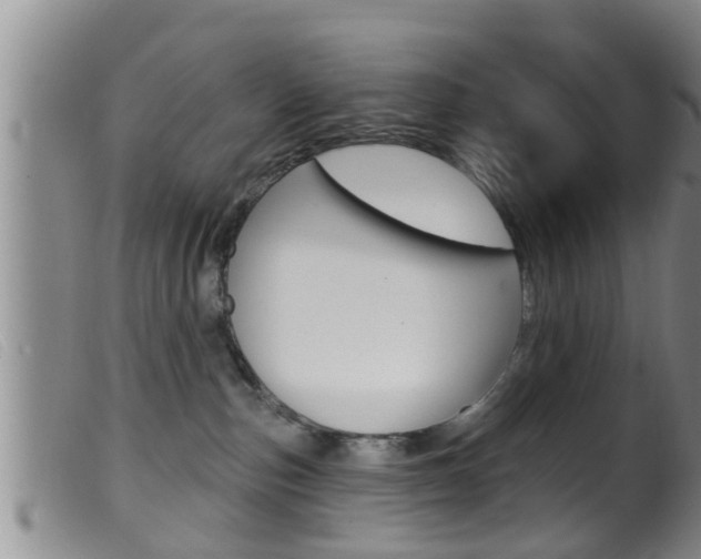 X0000099950187200805231011