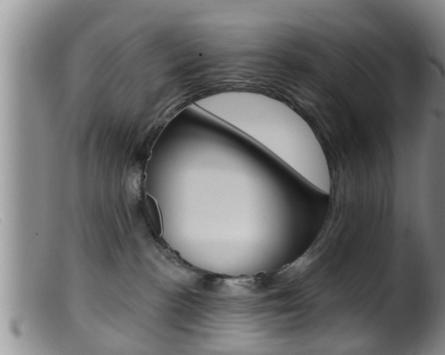 X0000099950188200805231011