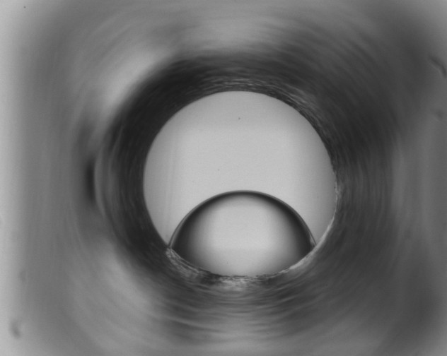 X0000099950190200805231011