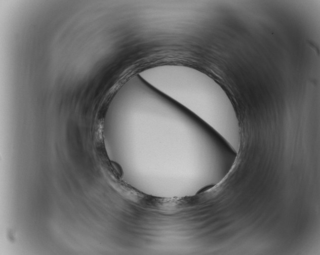 X0000099950191200805231011