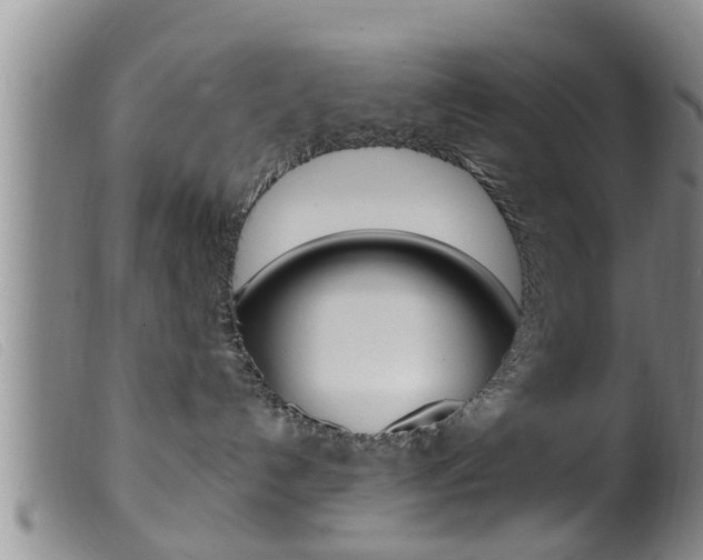X0000099950192200805231011