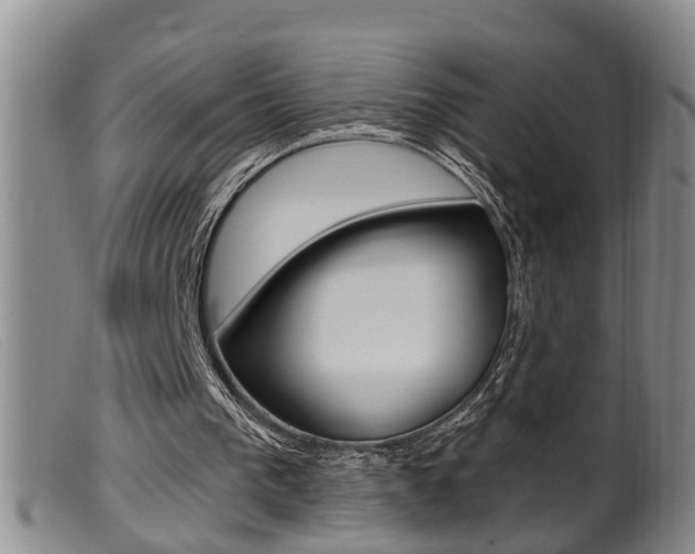 X0000099950193200805231010