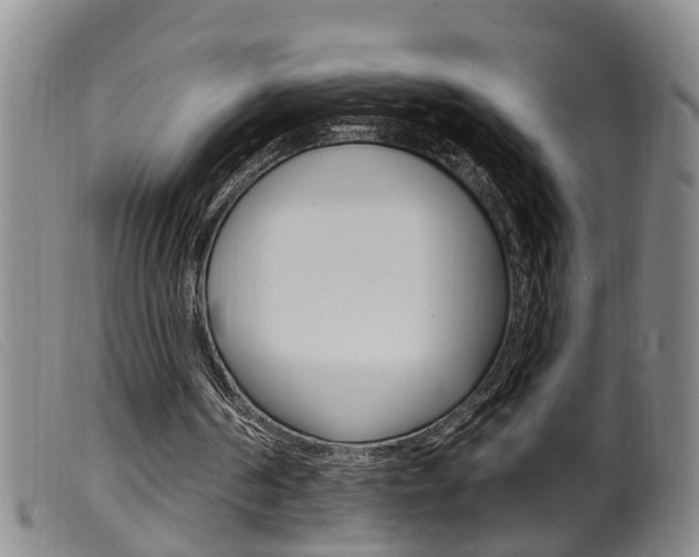 X0000099950194200805231010