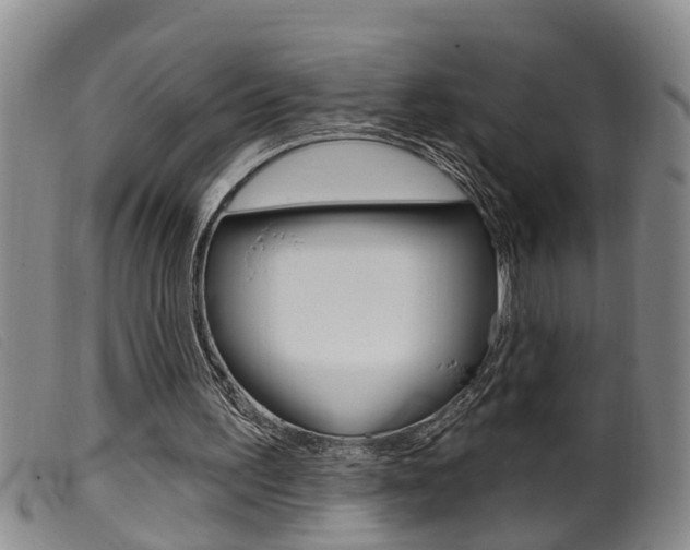 X0000099950195200805231010