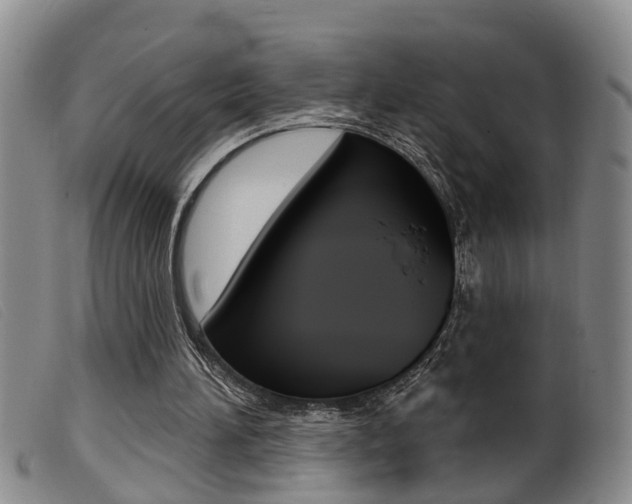 X0000099950196200805231010