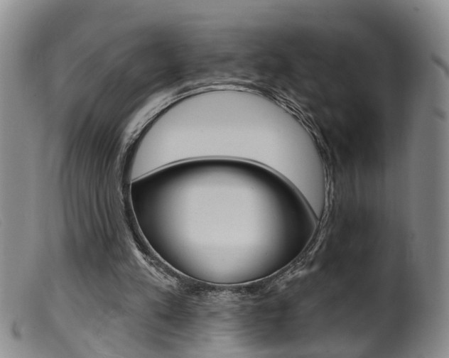 X0000099950197200805231010
