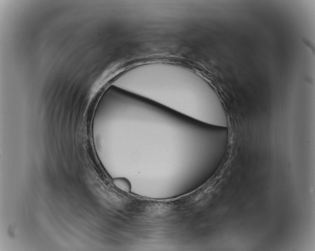 X0000099950198200805231010