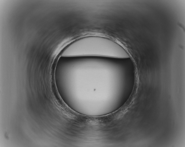 X0000099950199200805231010