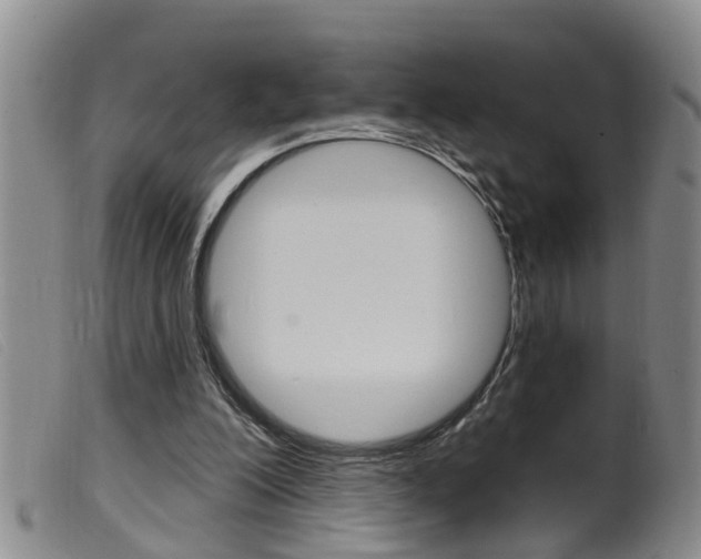 X0000099950200200805231010