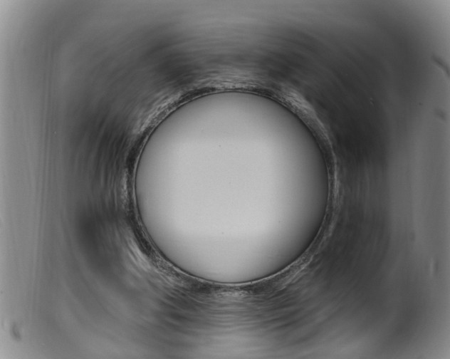 X0000099950202200805231010