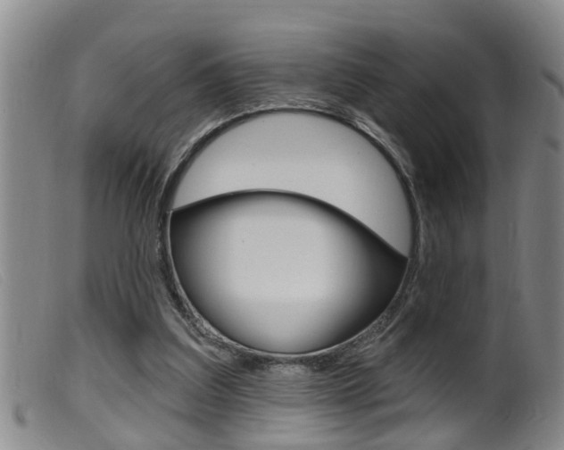 X0000099950203200805231010