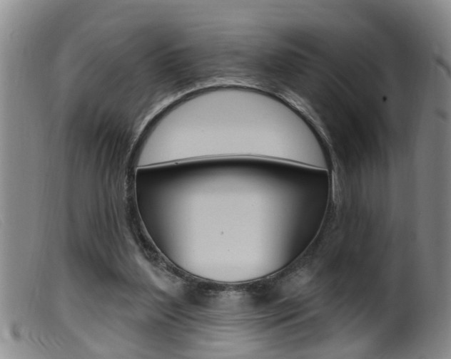 X0000099950204200805231010