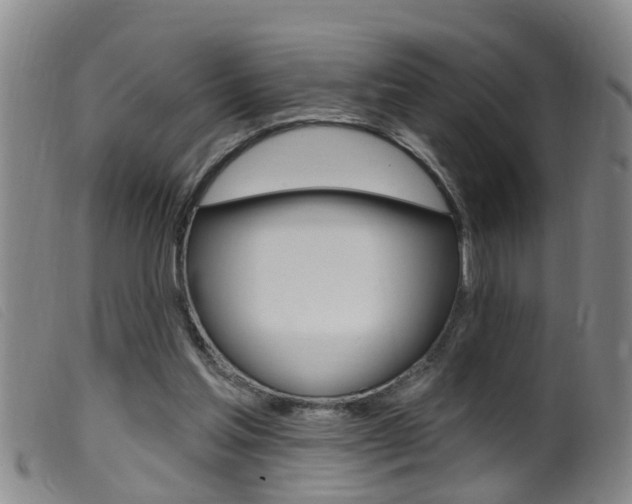 X0000099950205200805231010