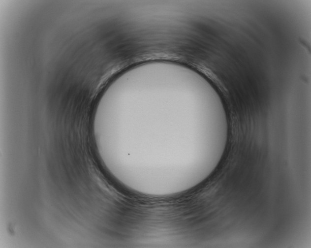 X0000099950207200805231010