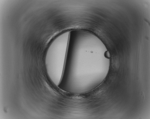 X0000099950208200805231010