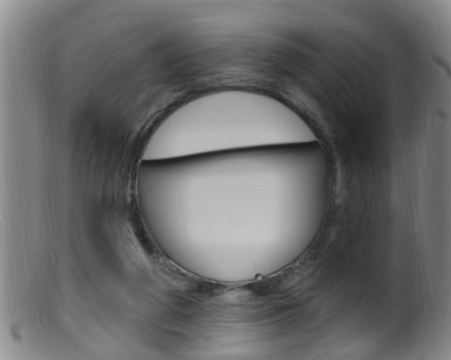 X0000099950210200805231010