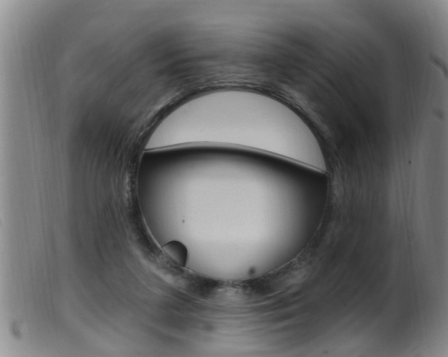 X0000099950211200805231010