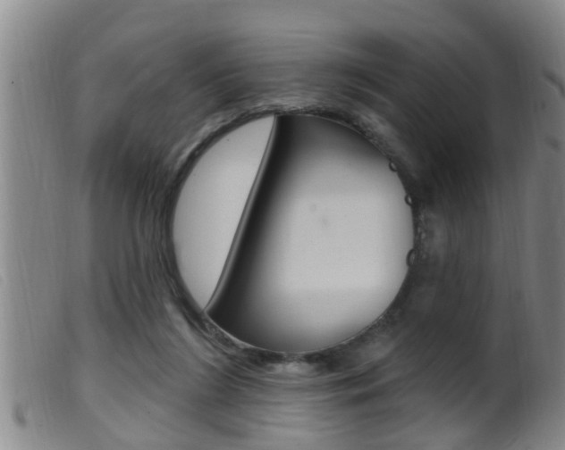 X0000099950212200805231010
