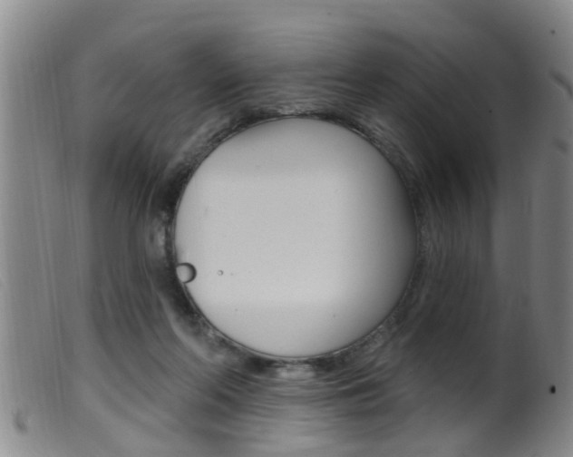 X0000099950214200805231010