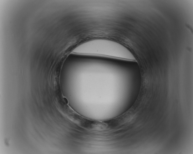 X0000099950215200805231010