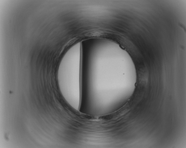 X0000099950216200805231010