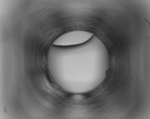 X0000099950218200805231010