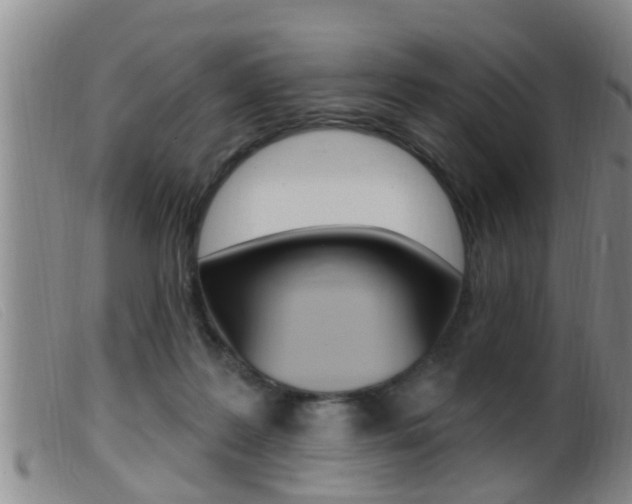 X0000099950219200805231010
