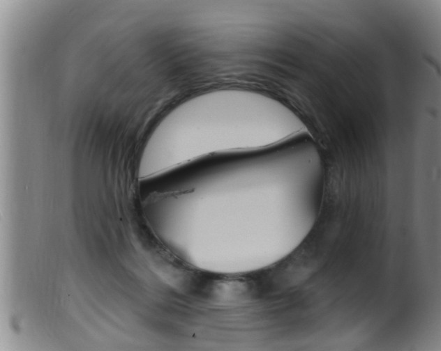 X0000099950220200805231010