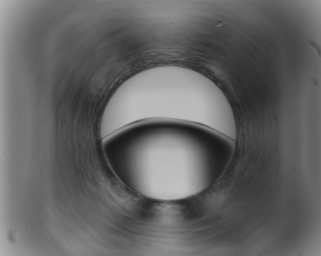 X0000099950221200805231010