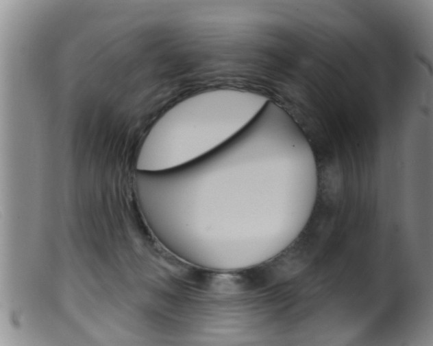 X0000099950222200805231010