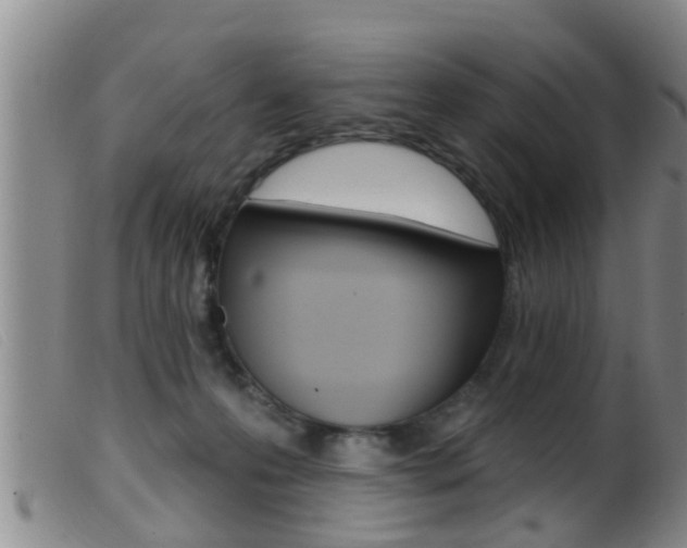 X0000099950223200805231009