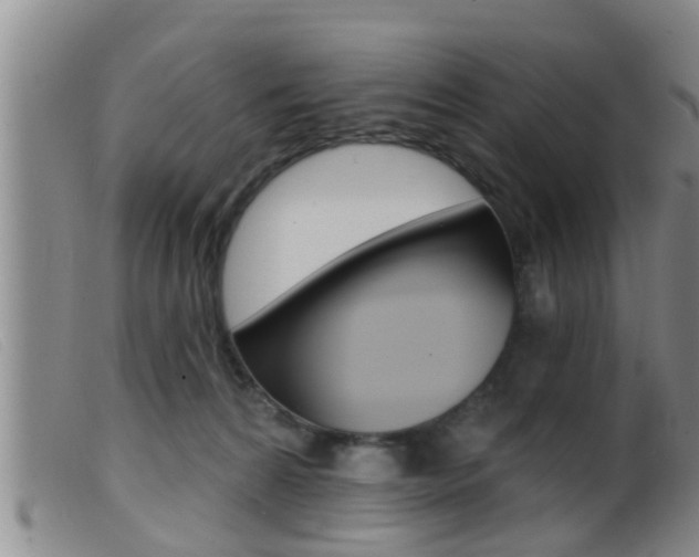 X0000099950224200805231009