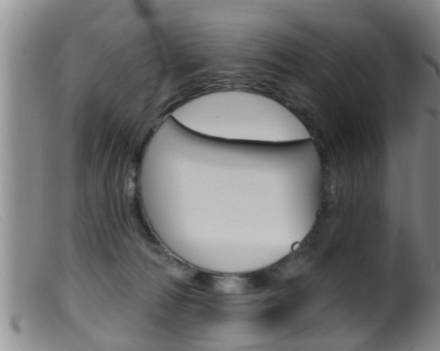 X0000099950226200805231009