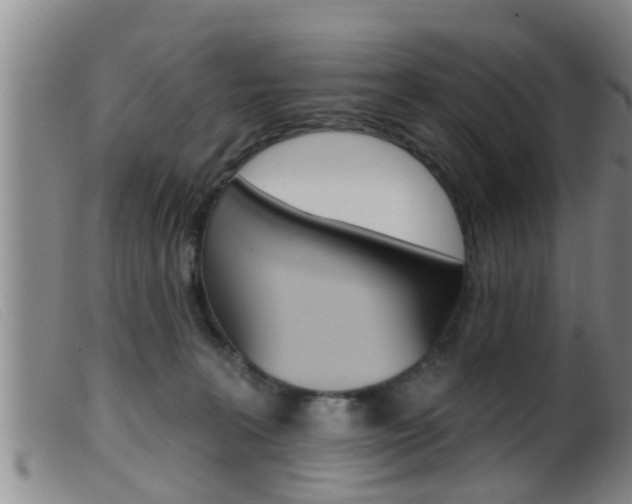 X0000099950227200805231009