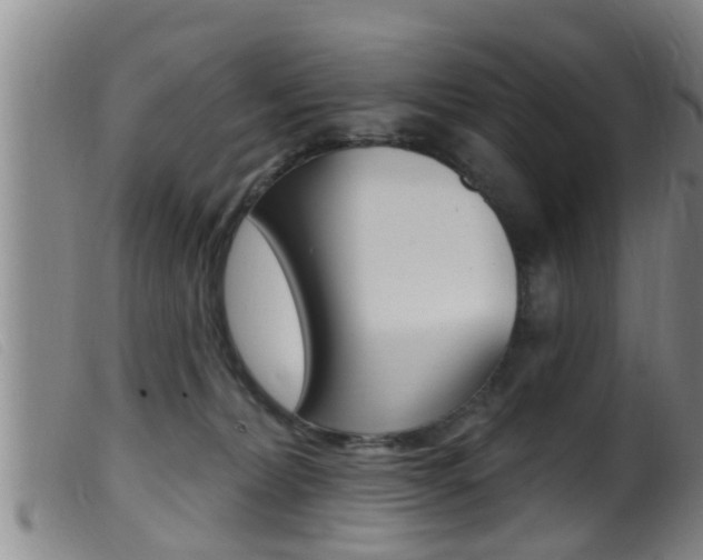 X0000099950228200805231009