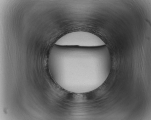 X0000099950230200805231009