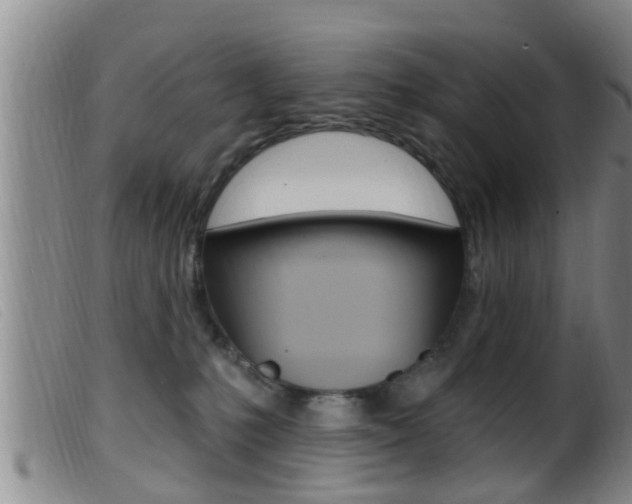 X0000099950231200805231009