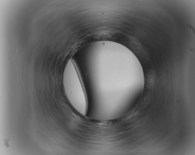 X0000099950232200805231009