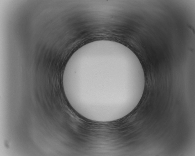 X0000099950233200805231009