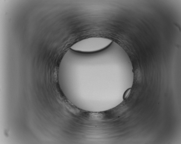 X0000099950234200805231009