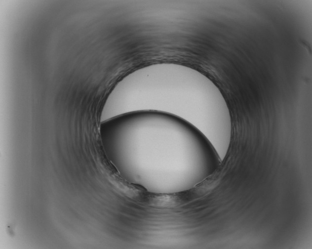 X0000099950237200805231009
