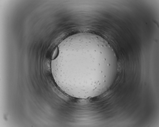 X0000099950238200805231009