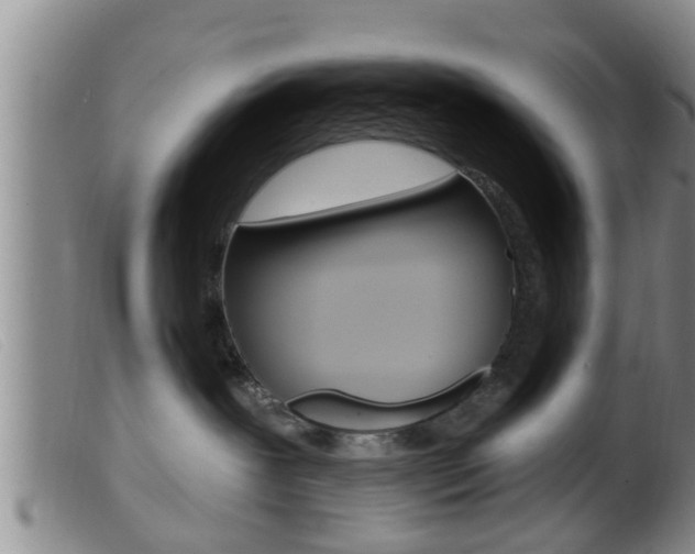 X0000099950239200805231009