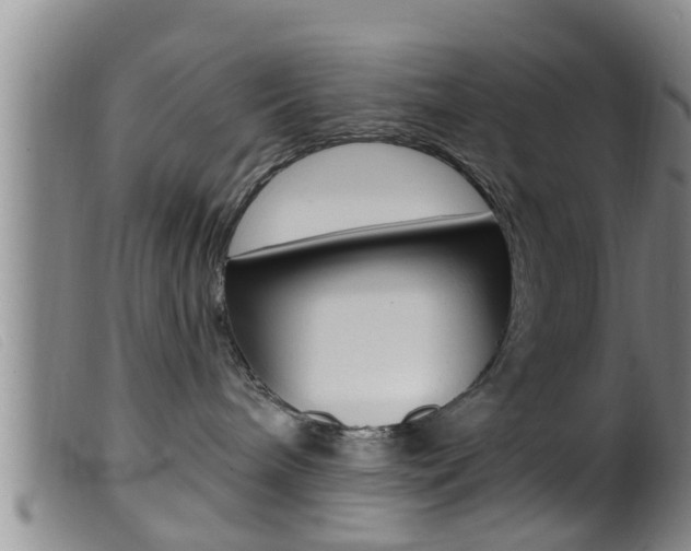 X0000099950240200805231009