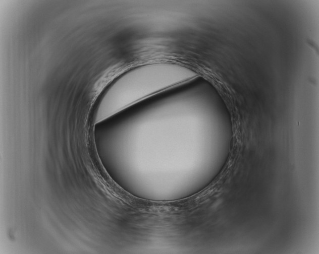 X0000099950242200805231009
