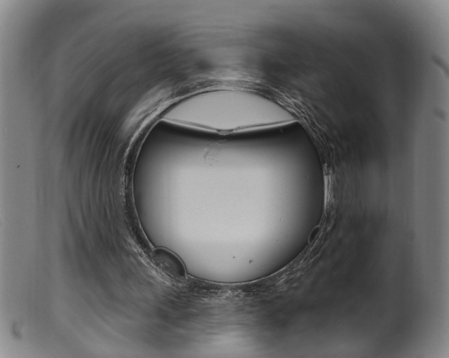 X0000099950243200805231009